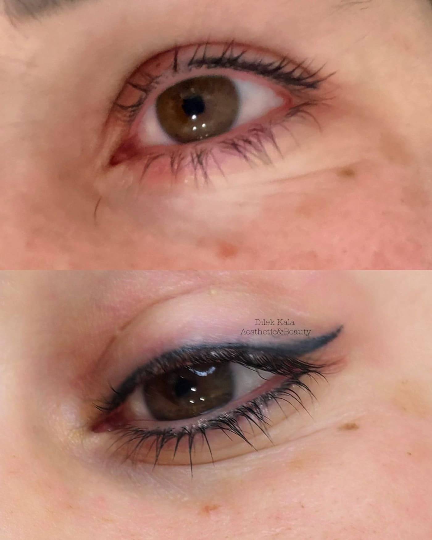 Microblading & Permanent Makeup before and after result 2